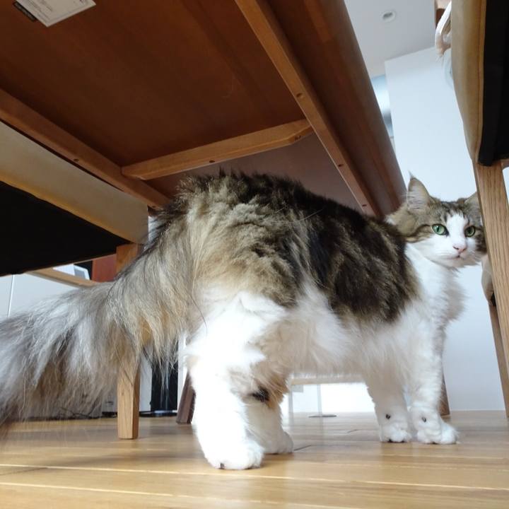 C810ab1a cb4f 4794 947c c93272997700 1537000244316