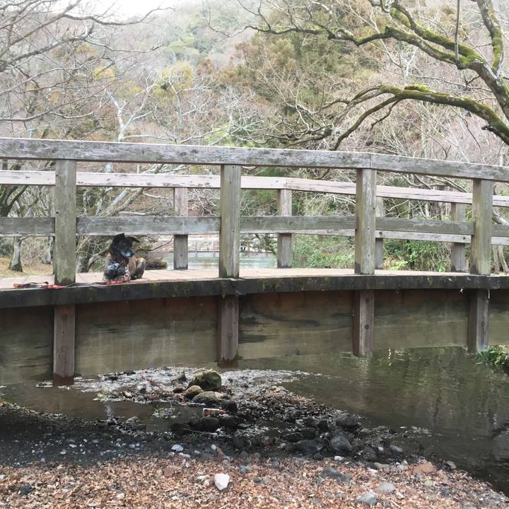 C810c227 533d 4537 aac1 8c0faf9607e7 1551194498562