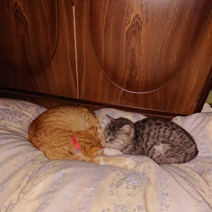 C810c5e7 146d 4d89 af8a 31f1ca84dc82 1578580277289