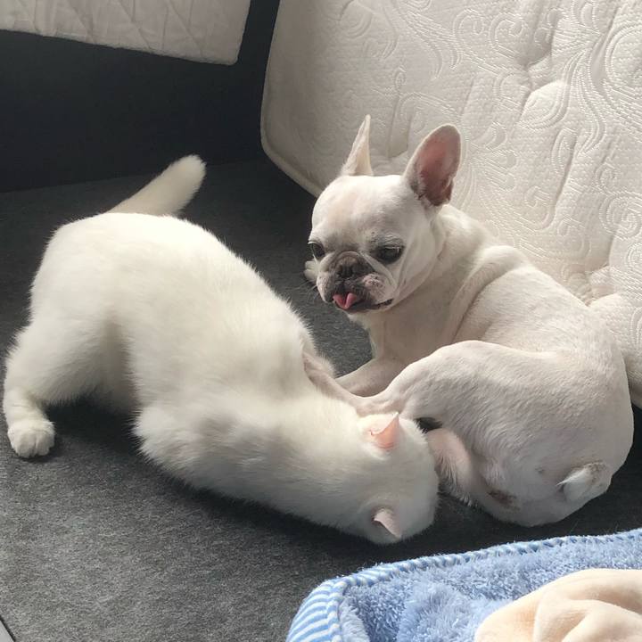 C810cf30 f30c 4b2a b462 3d7584e32558 1631183094208