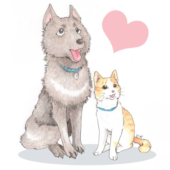 C810ec65 ab67 4c92 bbe3 b225a9ecb0b7 1622336164861