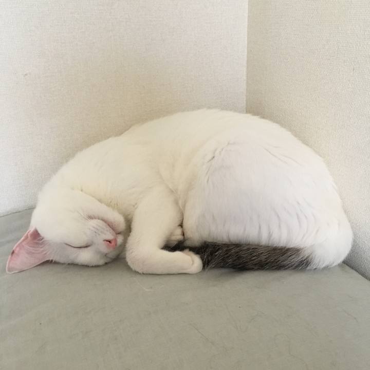 C810f852 b160 4670 bf23 362069665376 1530501003018