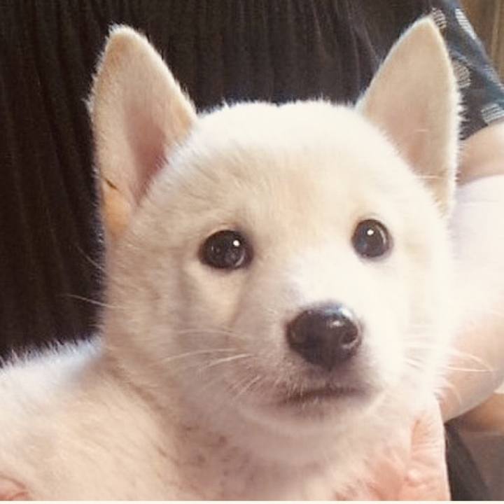 C810fe92 c401 4efb 90a2 a240e4f82715 1759968068133