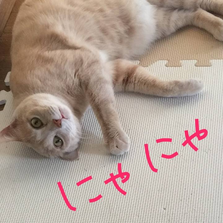 C8111079 9f73 4dd9 9905 33ce583f4e38 1576762982675