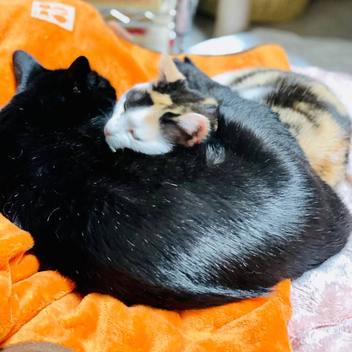 C81134bd a285 451d 8f58 f366fae879fc 1608172450009