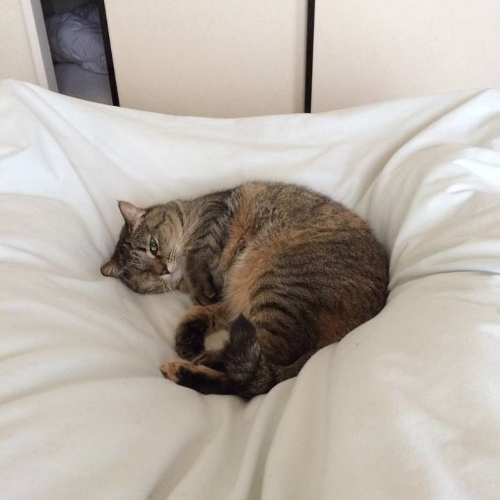 C8113d69 cdb5 4792 b6dd 0ba264f59cac 1526083630841