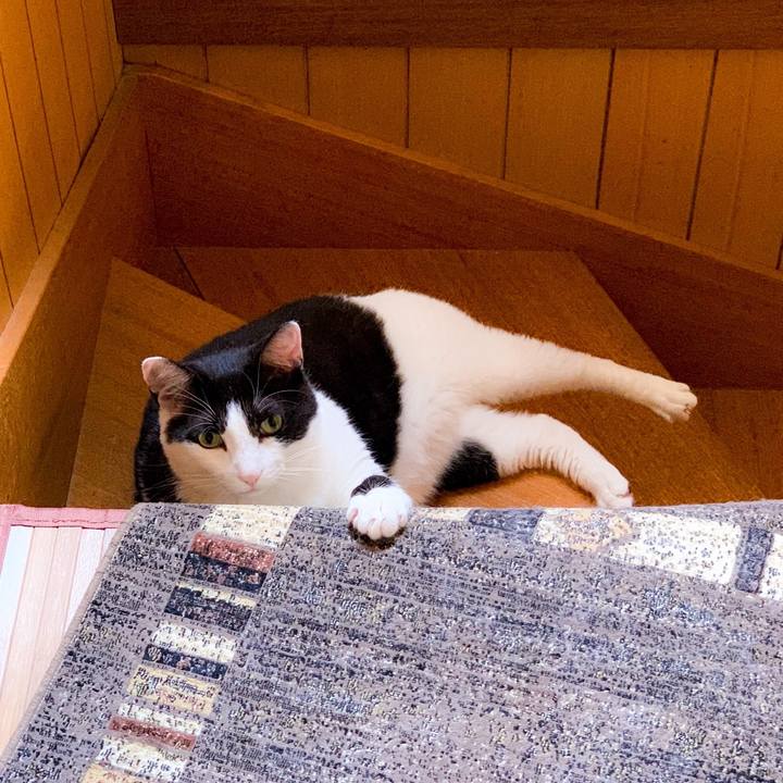 C8116331 76f3 4f68 9320 442d66685109 1564618293109