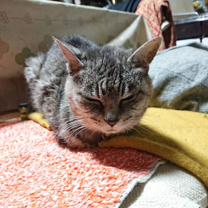 C8119569 bcb6 41fb b1d8 44f9830620c3 1603654651873