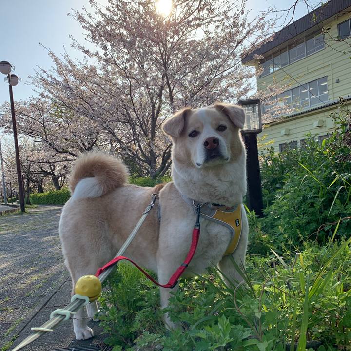 C811a2a6 0175 43dc 8ed8 cb448d227e6c 1586323572259