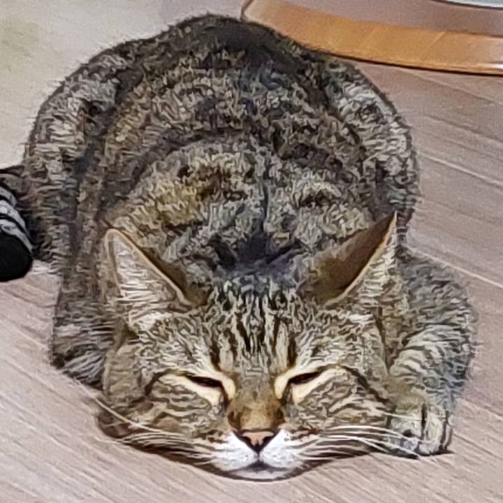 C811aff0 db93 4c5c a9b3 0b76f7a1731c 1733053351462