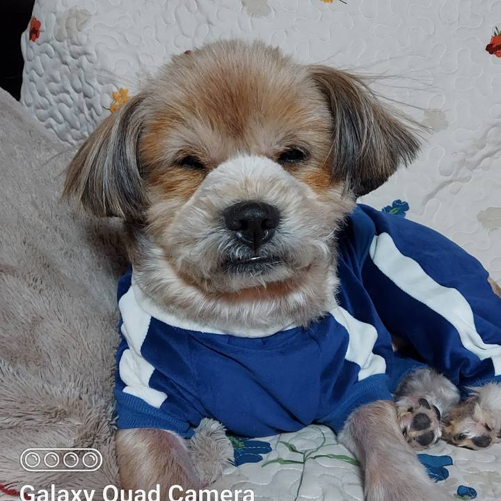 C811b14f 0371 483a a727 fe76513de4a7 1674225898358