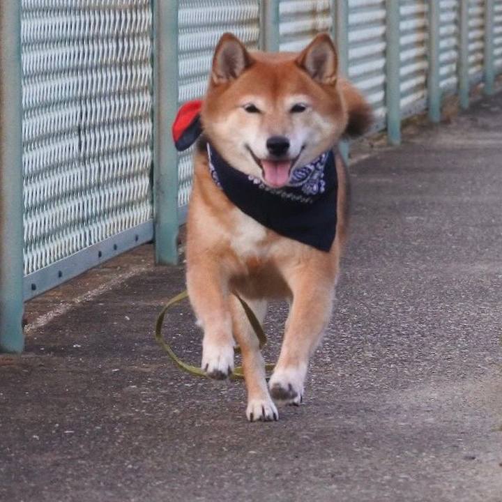 C811ca0d 0541 47c0 961c 4a110116fe62 1565528383566