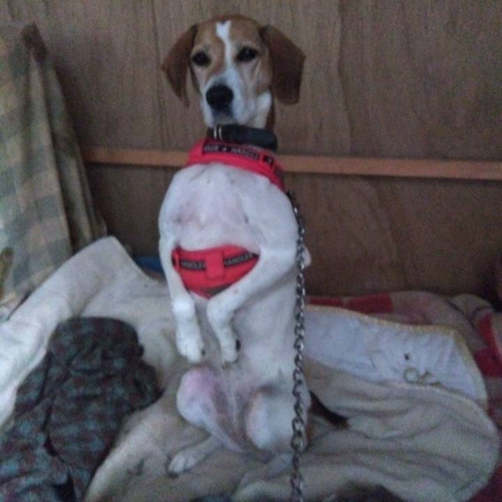 C812000a 00e5 4488 ac45 66a80f31eca2 1700663651117