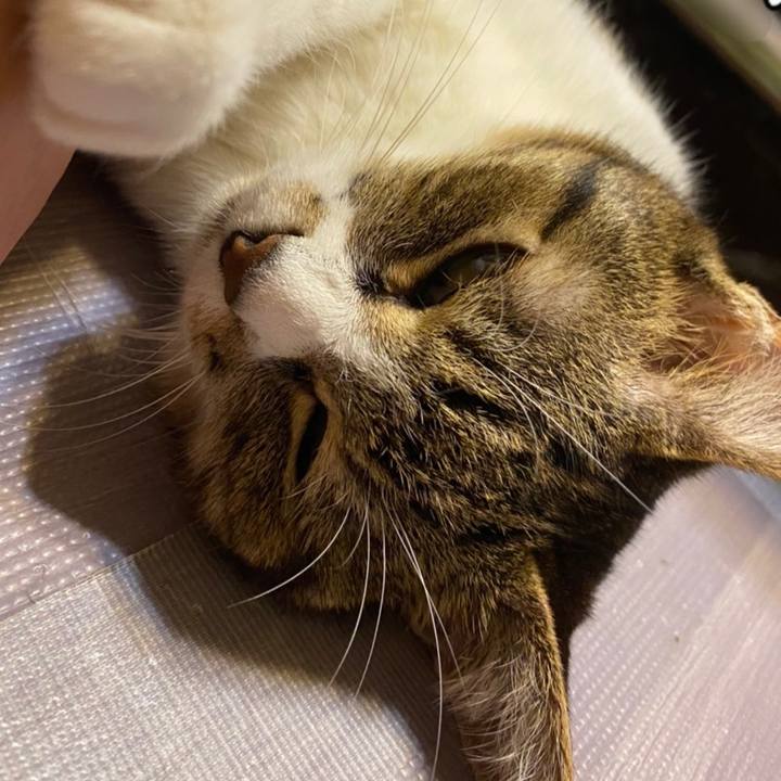 C8123f7a 5312 439d 8a12 68f0003cbae8 1621328783156