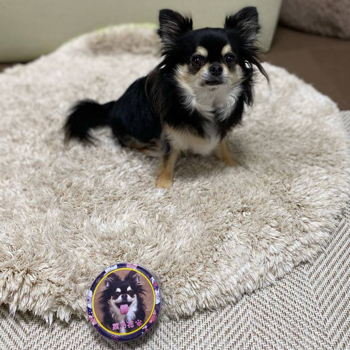 C8125c94 6ecc 47a2 af3a 426030ea405d 1657532365634