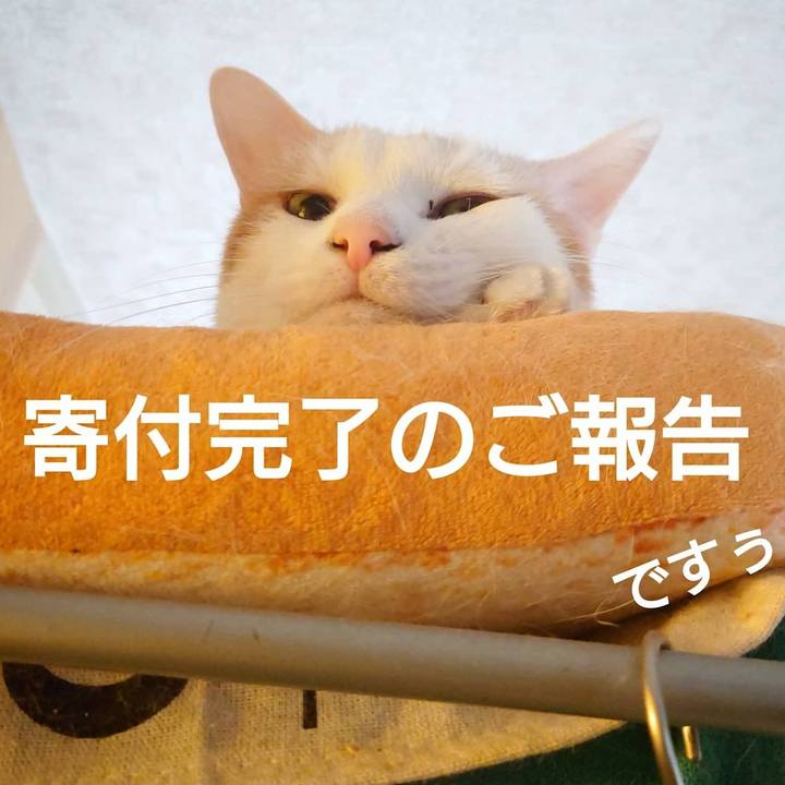 C812733f e5c4 44c2 845b 0d8eb9979fcb 1621340553905