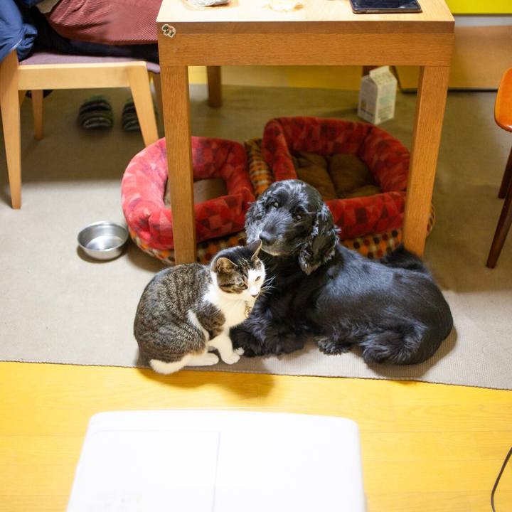 C812acde dcfe 478a aaae 00ba9a49d3a0 1609597871958