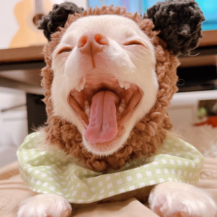 C812afde 8f5d 4903 b277 e700a2c2bd23 1665997005707