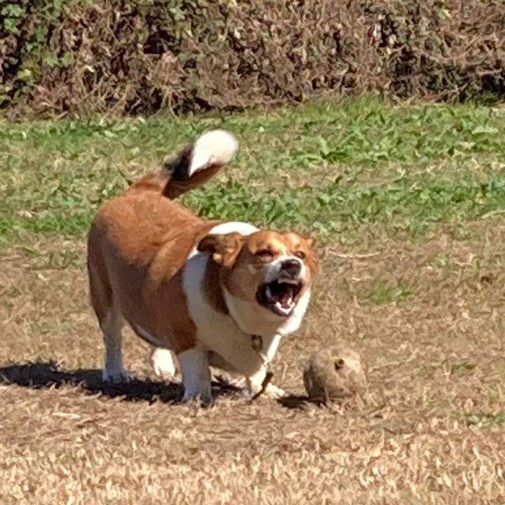 C812e1fd 63b7 4160 b36c 77491d11a30a 1667005840823