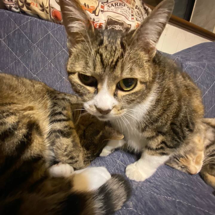 C812f090 bae5 4ecf 8d51 ab4ce8740d98 1620476553882