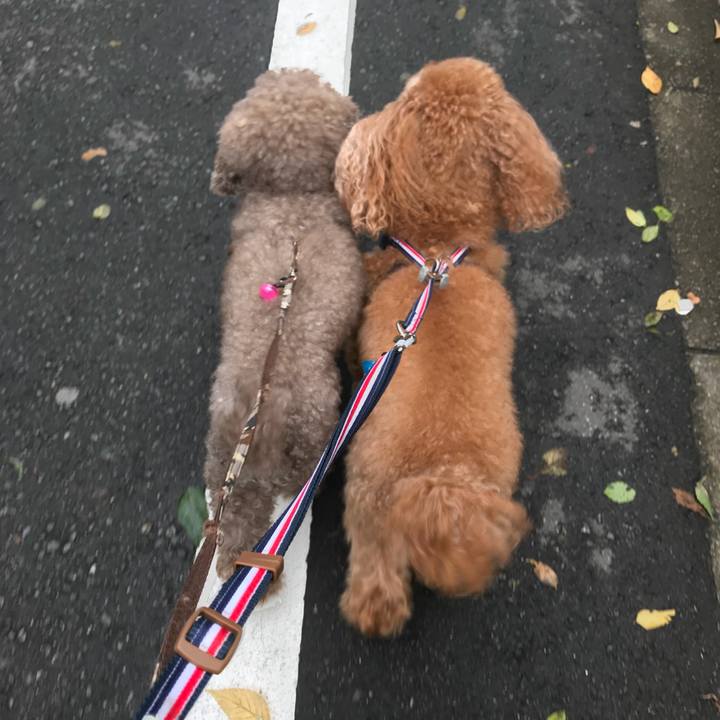 C81324b8 813d 4e1a a069 892e52f73f95 1508719469205