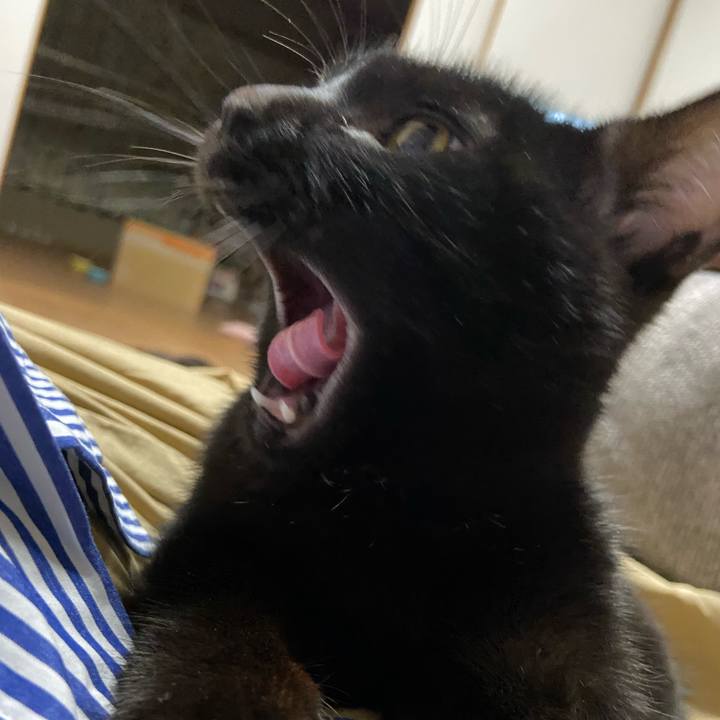 C8133e08 6fed 4016 86a1 135381ff283e 1618314786455