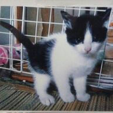 C8137bd3 34e5 4008 8b34 5e8dfb57b072 1553728104427