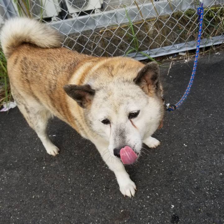 C813ed61 2e33 4b85 902f cf300998f4c8 1663712482807