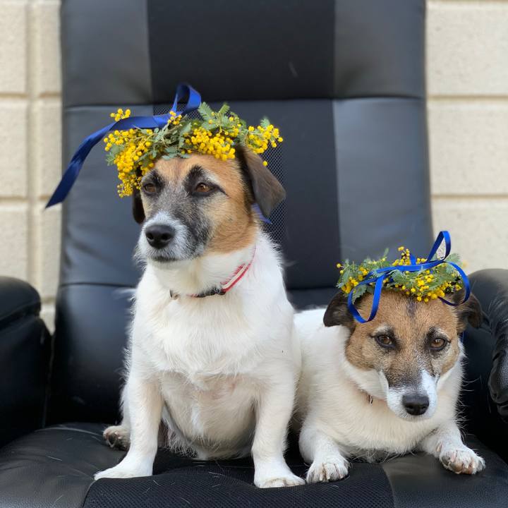 C8141afd a270 4e58 90ae 997ba591f37c 1647063192470