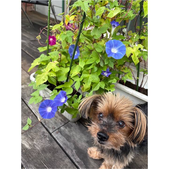 C8145414 63cb 4d4a bea4 19e0ea634ae1 1757544969856