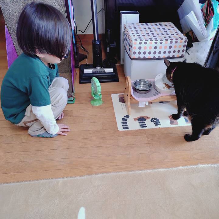 C8147c1c 784d 4028 b083 80c2b8a951be 1774772648141