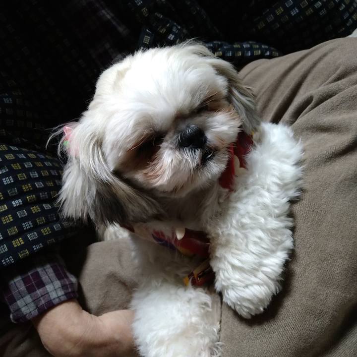 C814823c 3cac 4e27 ac01 d37e80f78b97 1608156832501