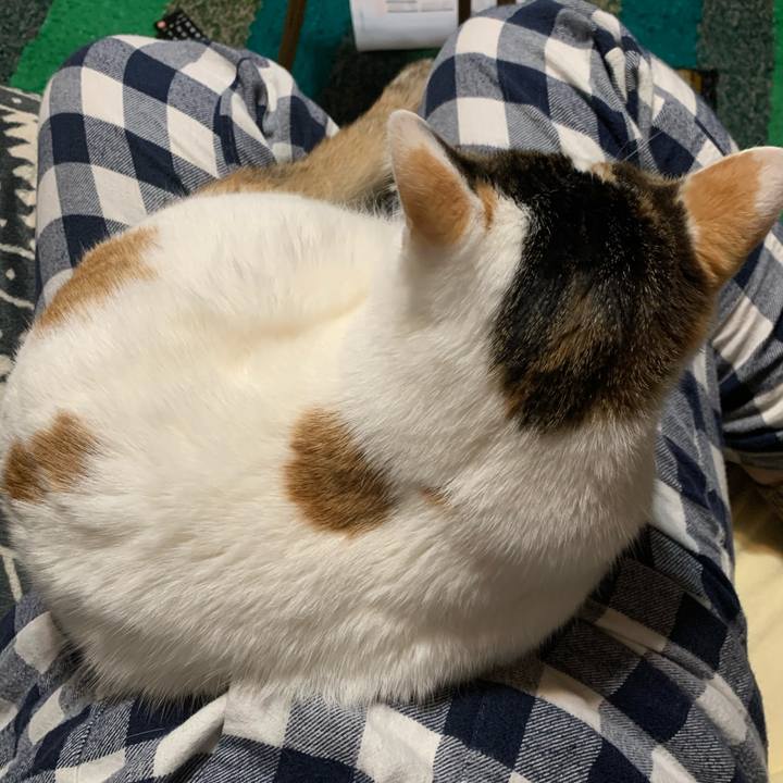 C8148904 8480 4907 9765 c7becf46a357 1647687258513