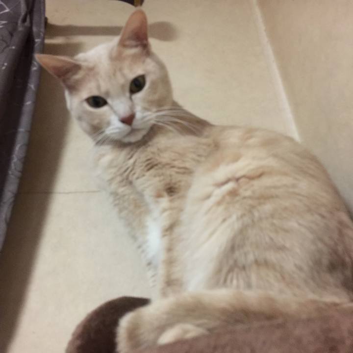 C814cf7e fe2d 4806 9fb2 bd3acbb31152 1545134201779