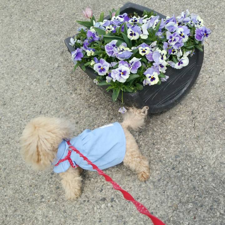 C814da27 df11 495b 9b08 532bc72f26e3 1555736005351