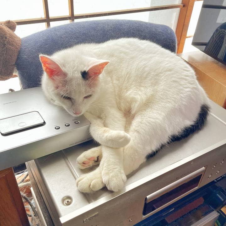 C8150334 8f2a 4e65 b126 9ac71bdffa90 1757117873808