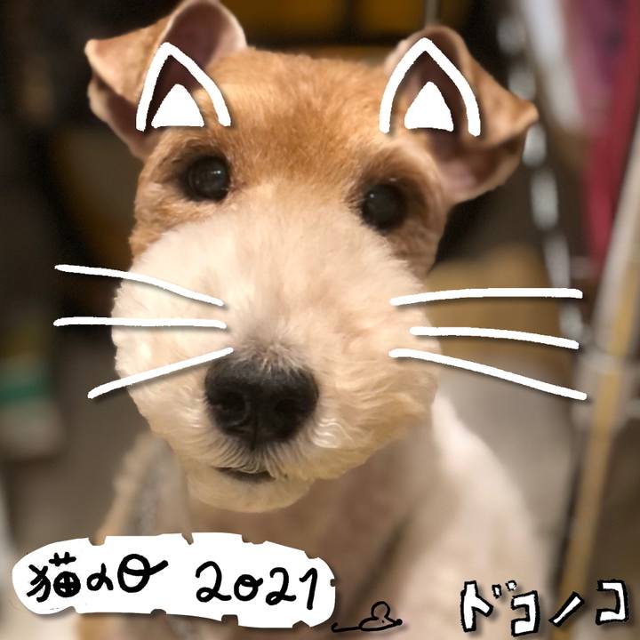 C8150e83 a5b5 4108 944c e573aaf261af 1613971181465