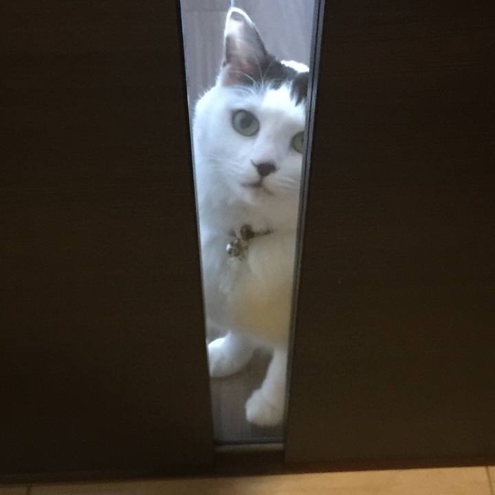 C8153011 307e 40b0 ac7c 53d042c20b78 1518131907571