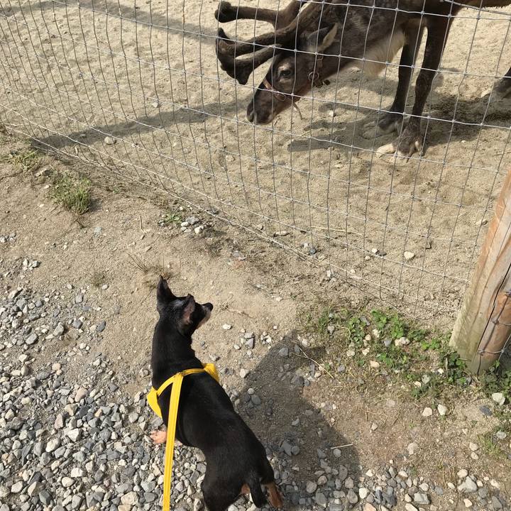 C8154290 6b8c 4daf 9b5a e398973a14f5 1535281995268