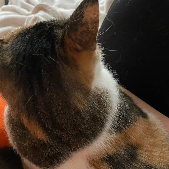 C8156389 4761 49a8 8d8d ce4891109611 1623272962096