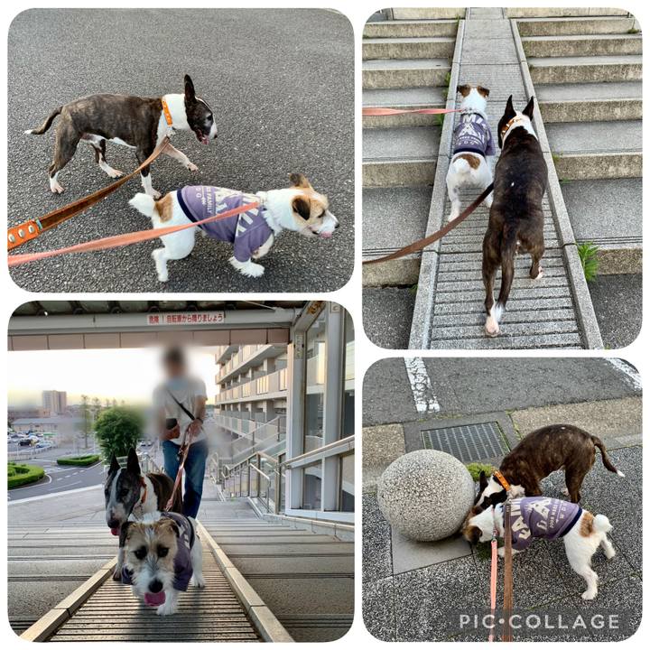 C8157711 1a43 43df 8637 9cc77ecf3c27 1622638201746