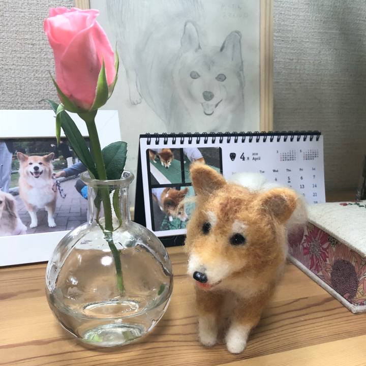 C81582d3 261d 4b52 a281 660df9dd07df 1524552695180