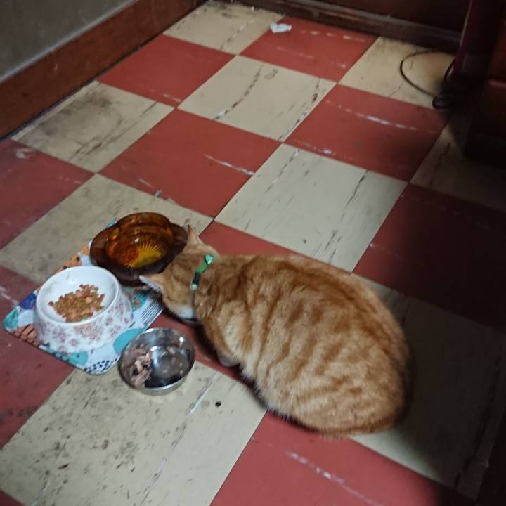 C815b44f ffe1 4418 83e6 e09d312daaa2 1585300833596