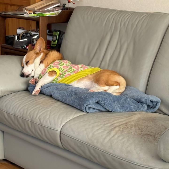 C815c922 e97d 45c7 820e bb0eca7586cc 1769411477323