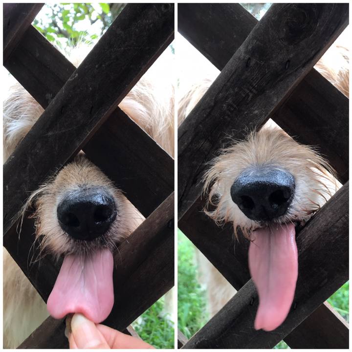 C815cd6c 366e 457c 803e 733965970dc0 1567572574130