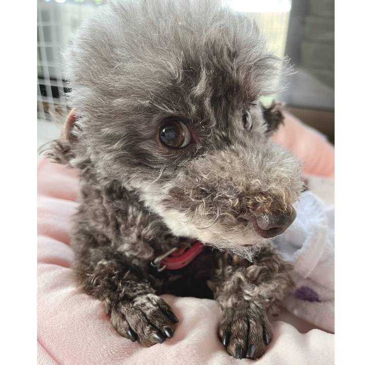 C815fa84 354e 45e6 a407 77bd823f5741 1686261782415