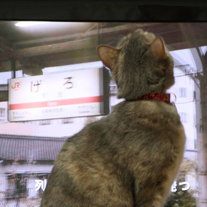 C8163733 fc7d 4557 b53c 7d9acb8586a8 1516796842295