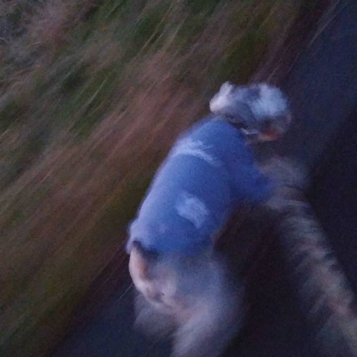 C8167da7 0d0f 472b 9da2 9dac174c996e 1546902238923