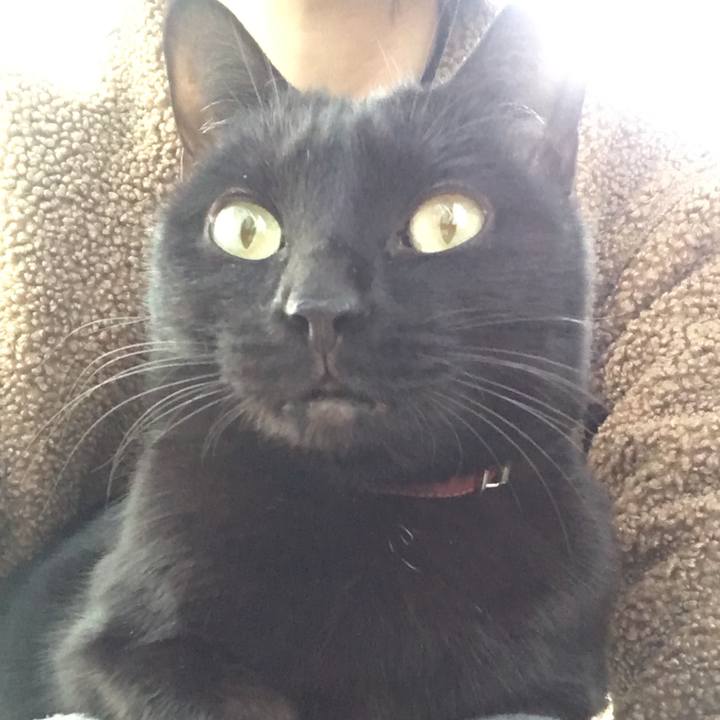 C816dc8c bd9e 4b4c b2eb c03560780ef7 1547076919751