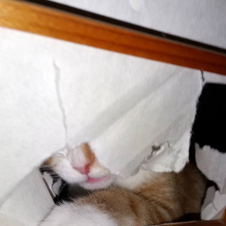 C816e159 036e 4267 adb7 a14c76d51eba 1623319219576